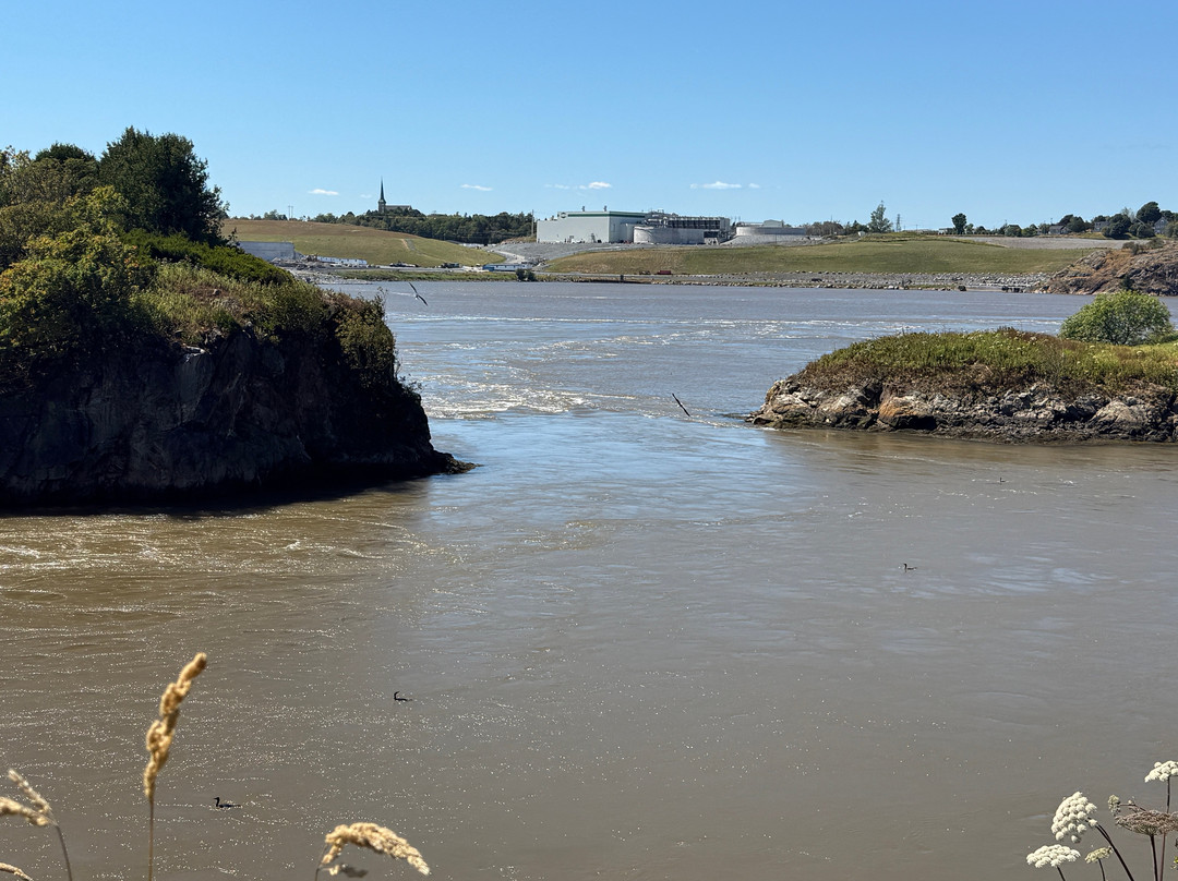 Go Fundy Events-圣约翰必去景点