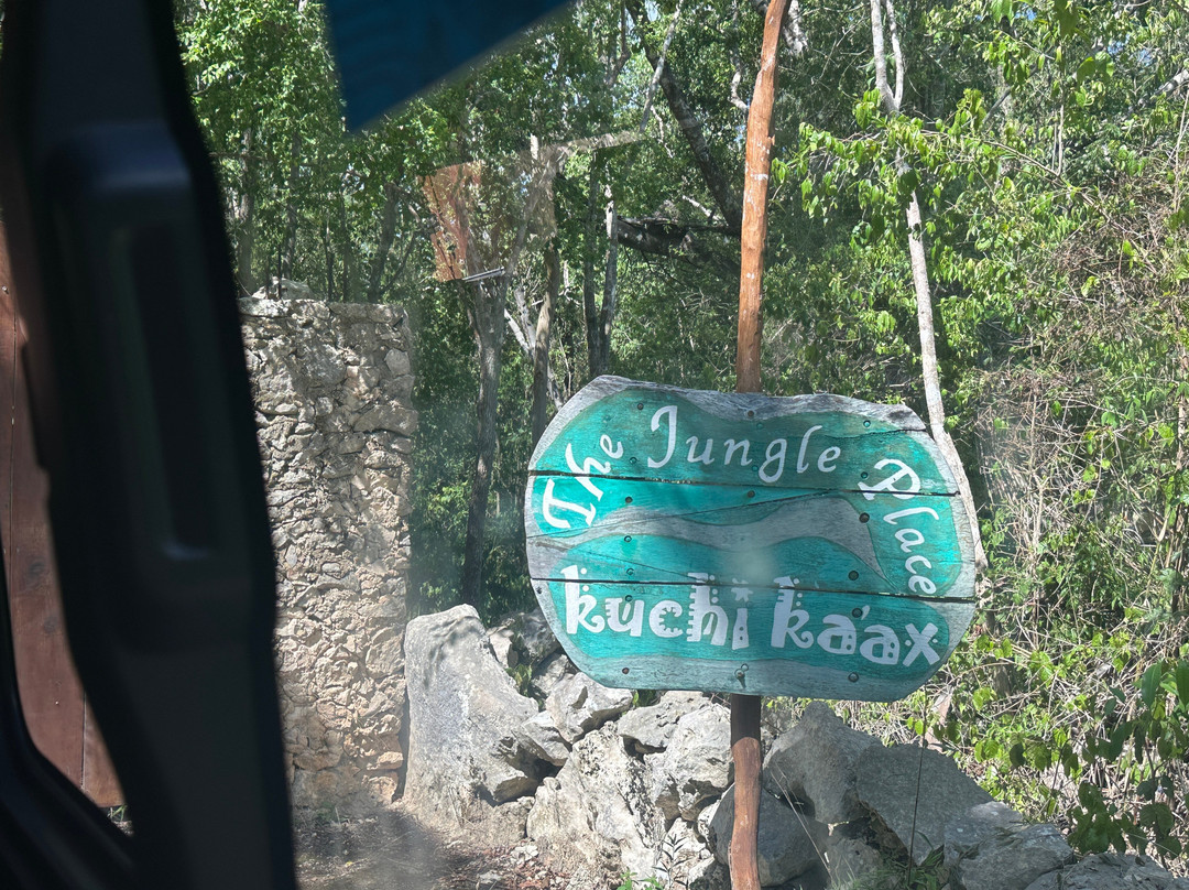 The Jungle Place - Tours-Chemuyil必去景点