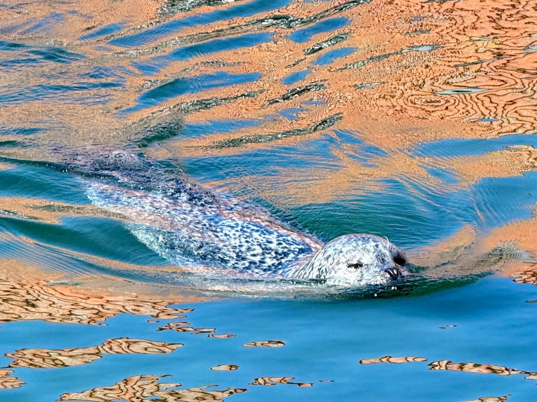 Fjord & Baelt-凯特明讷必去景点