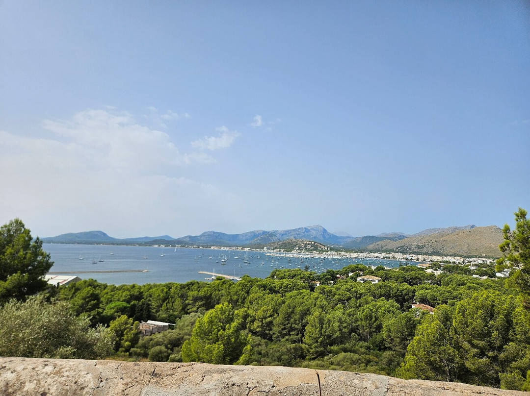 Buggy Mallorca Tours-阿尔库迪亚港必去景点