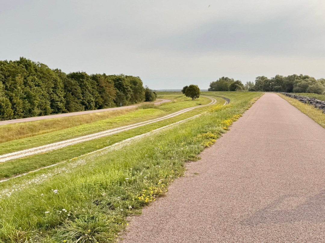 Aube Regional Natural Park of the Orient Forest-Grand Est必去景点