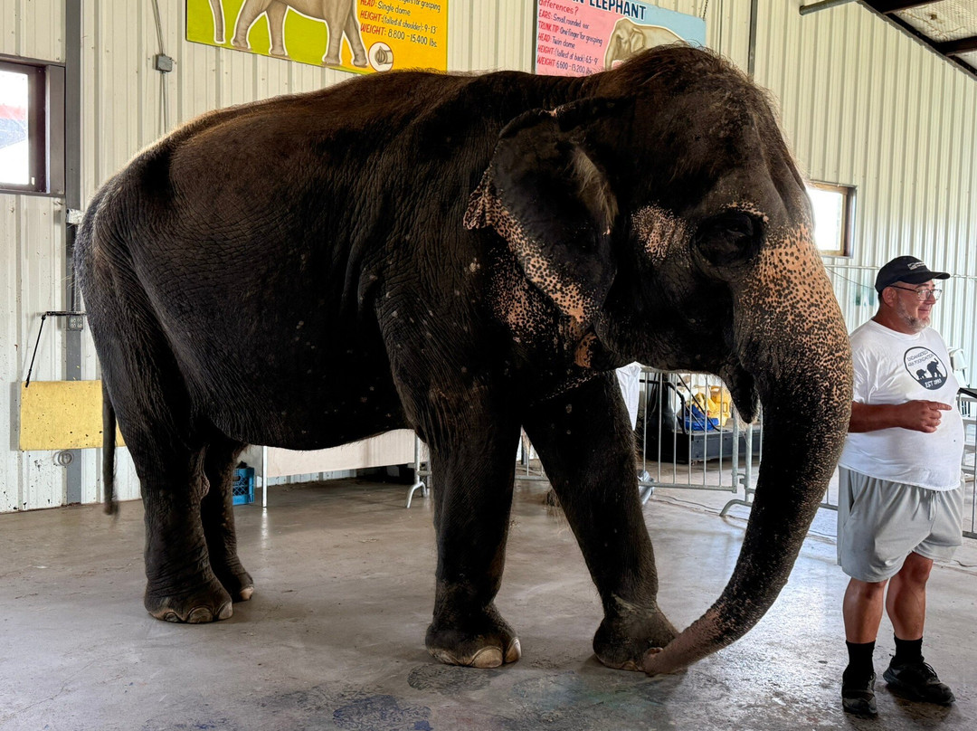 The Endangered Ark Foundation-Hugo必去景点