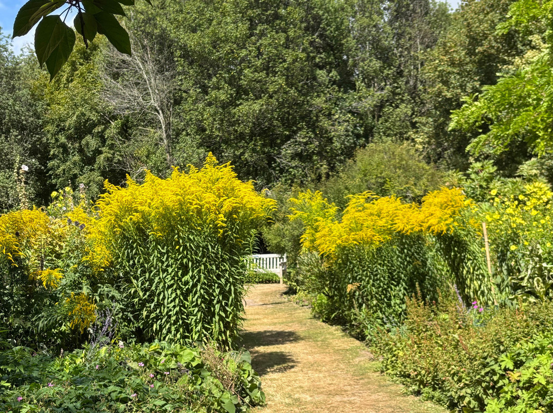 Highdown Gardens-沃辛必去景点