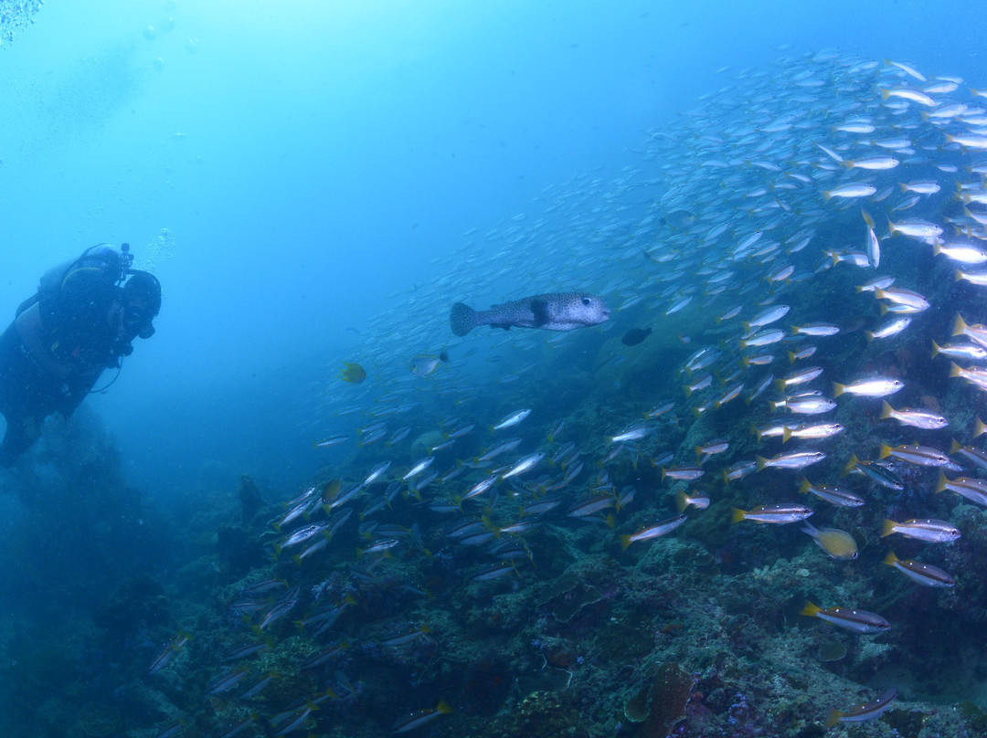 PKT Diving-大皮皮岛必去景点