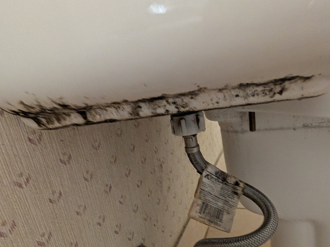 Lakeview Gimli Resort主图