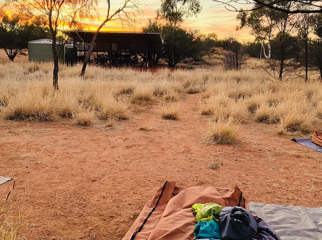 Trek Tours Australia-达尔文市必去景点