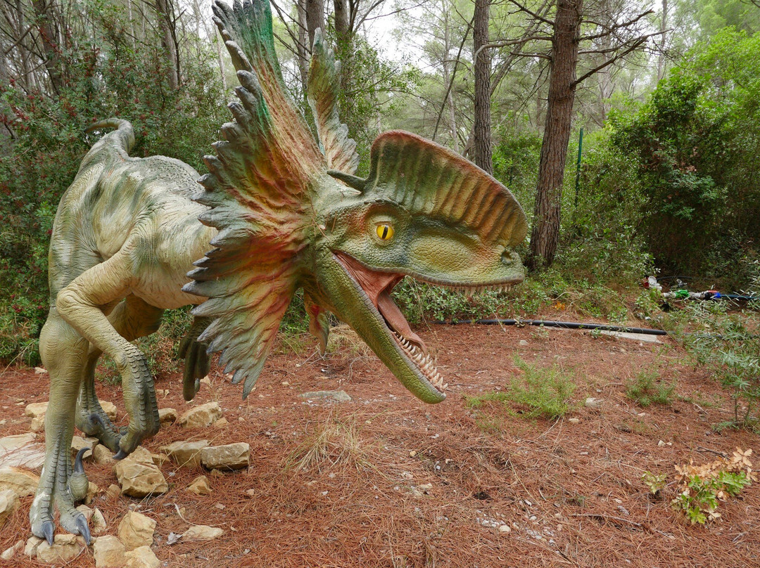 Musee - Parc des Dinosaures-Meze必去景点