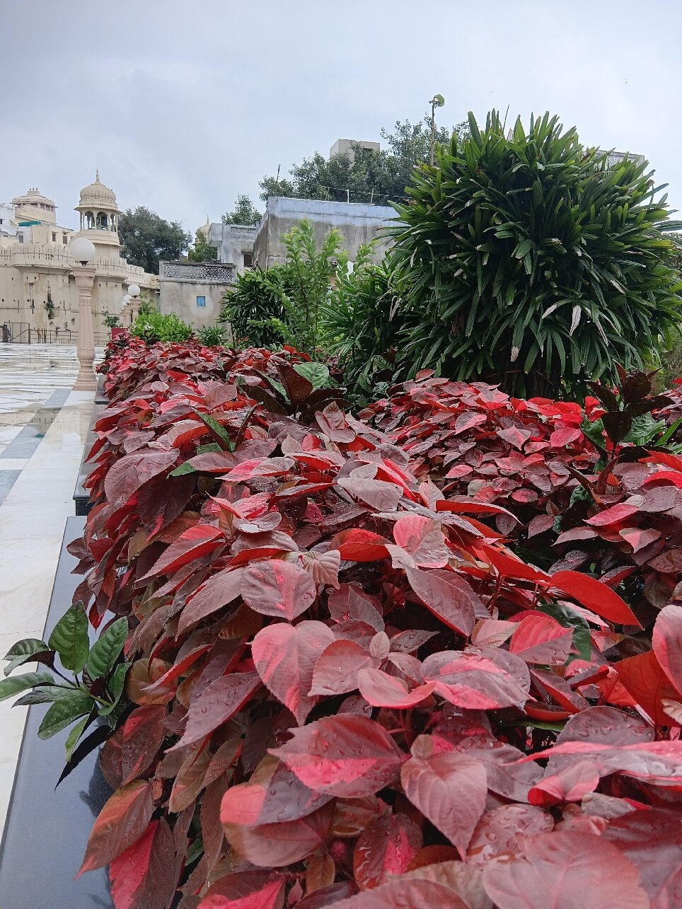 Shri Vallabh Vilas Lords Plaza-官方