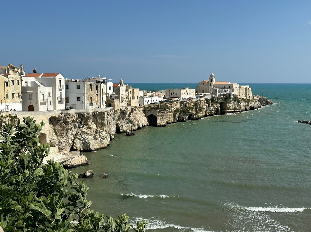Vieste Promenade-维耶斯泰必去景点