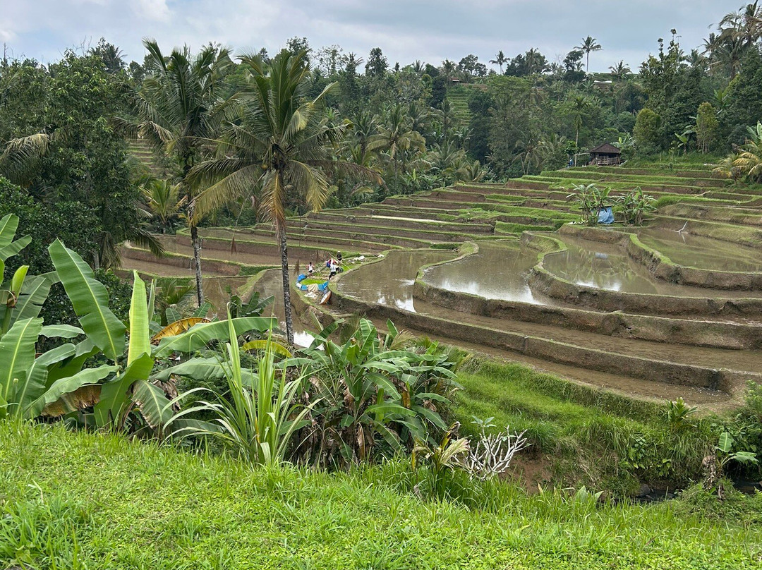 Bali Dreamscape Tour-Kerobokan Kaja必去景点