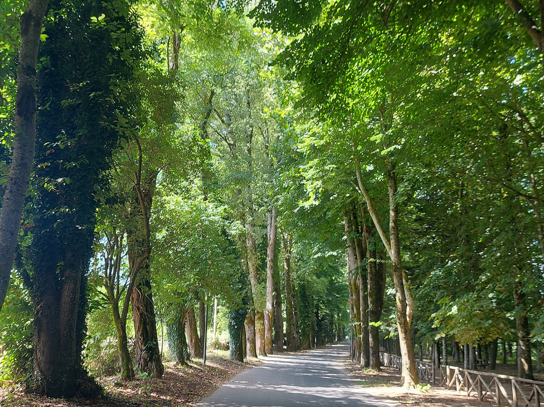 Parco Naturale Regionale delle Serre-Serra San Bruno必去景点