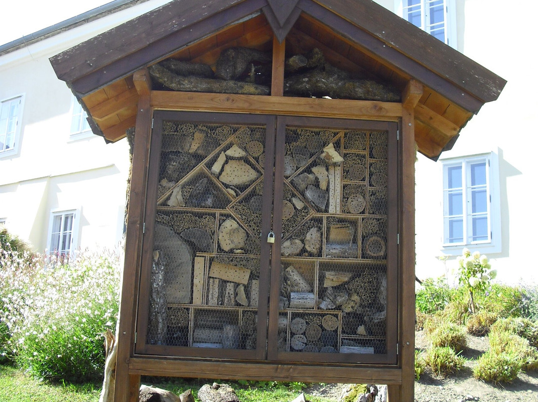 Schloss Mattighofen-Mattighofen必去景点