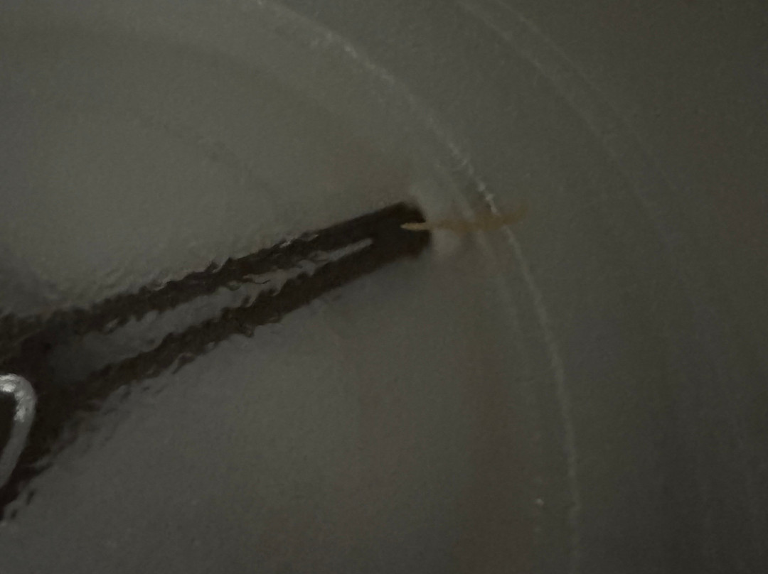 Country Inn & Suites by Radisson, Rocky Mount, NC主图