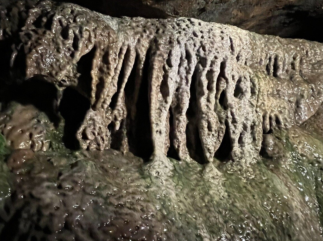Linville Caverns-Marion必去景点