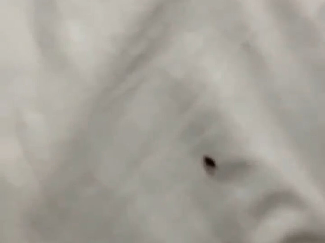 Hampton Inn & Suites by Hilton Toronto Airport主图