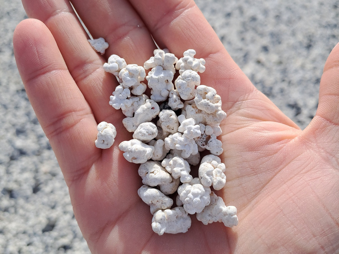 Playa del Mejillón-科拉雷侯必去景点