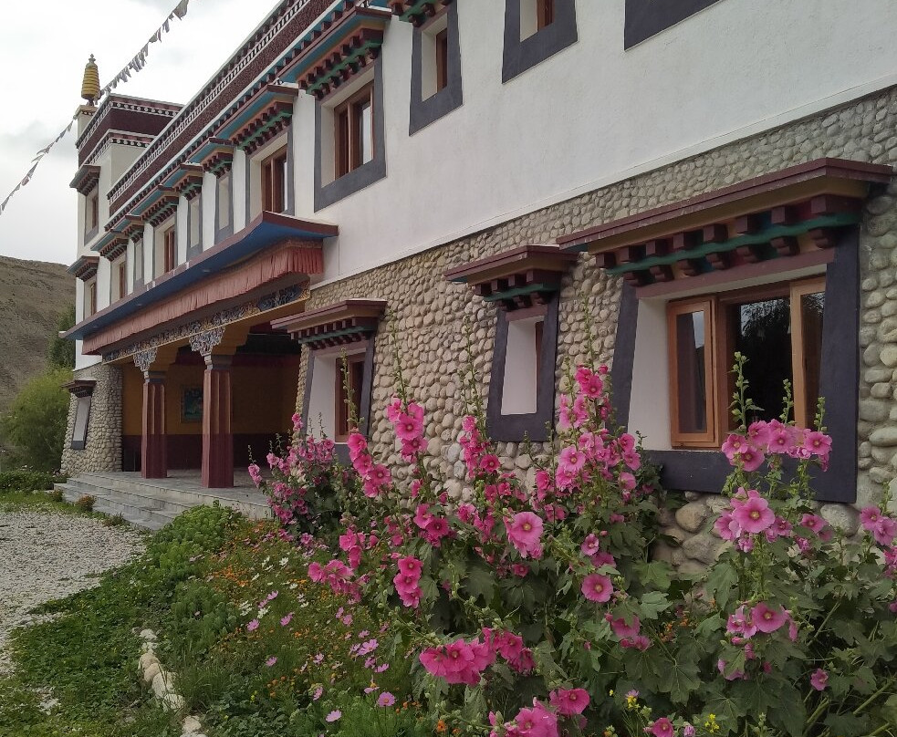 Royal Mustang Resort主图