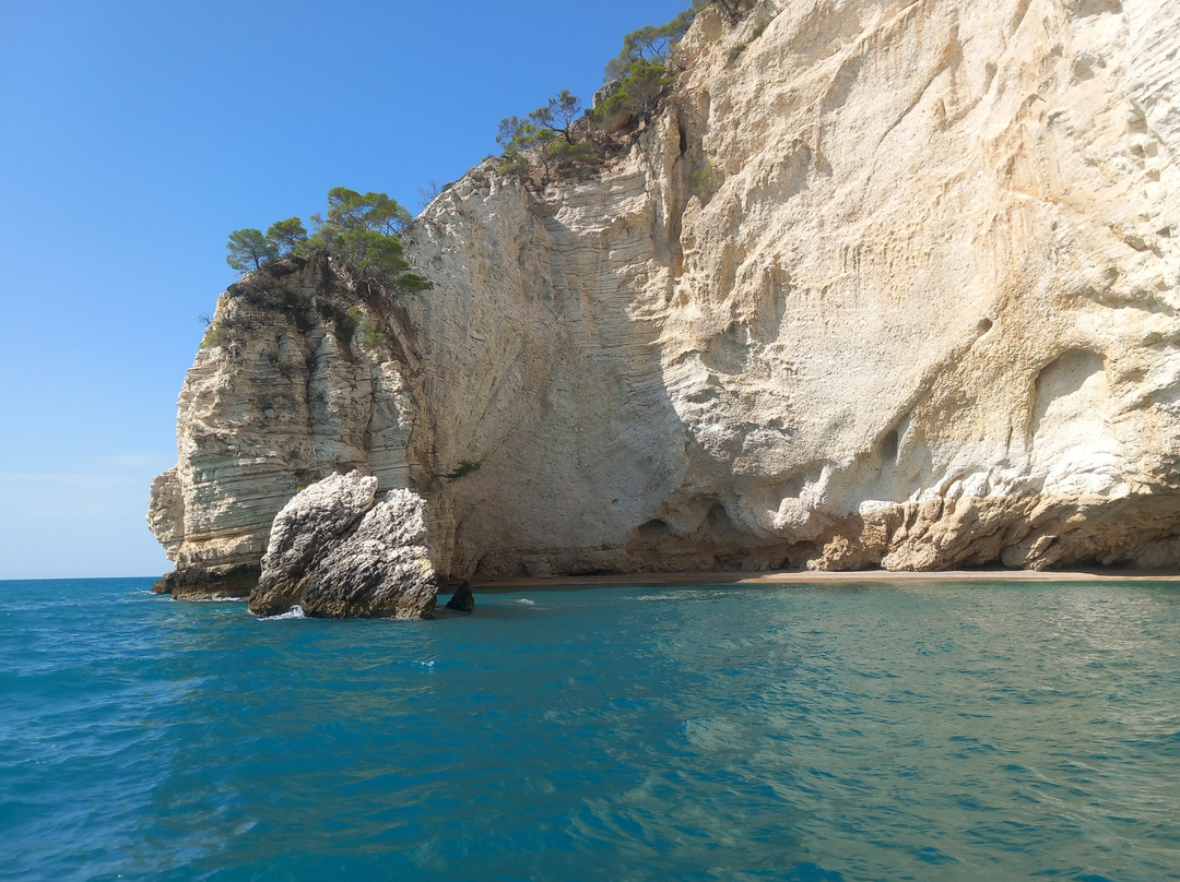 Costante Nicola Agenzia Tour Delle Grotte-佩斯基奇必去景点
