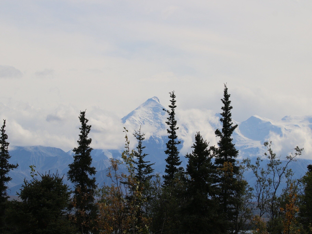 Denali National Park-阿拉斯加必去景点