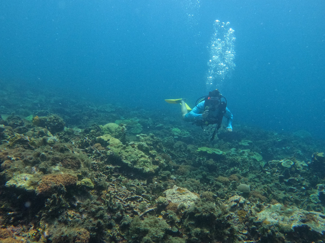 Covenas Diving Co.-Covenas必去景点