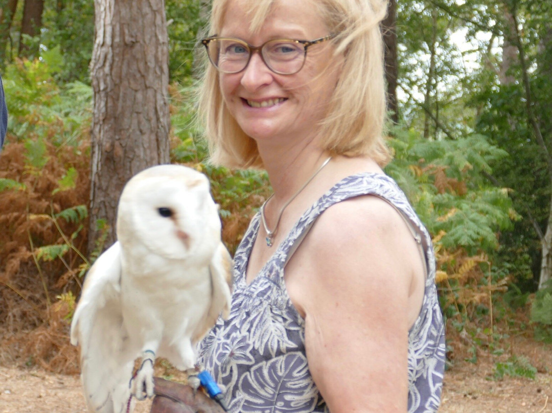 Forest Falconry-Landford必去景点