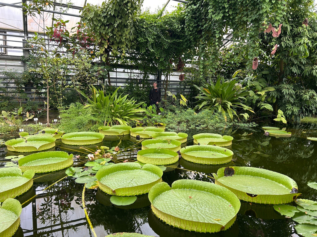 Botanical Garden, Bonn-波恩必去景点
