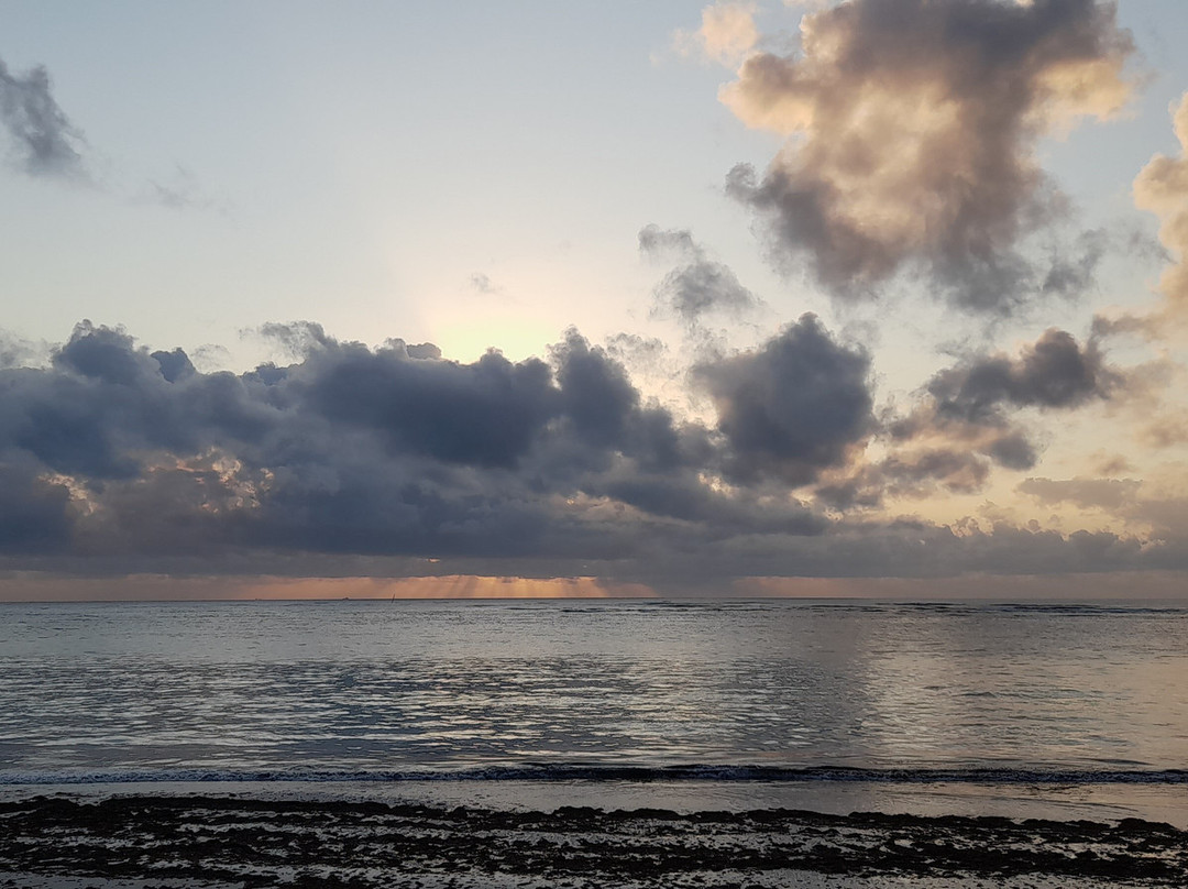 Starluck Travel Limited-内罗毕必去景点