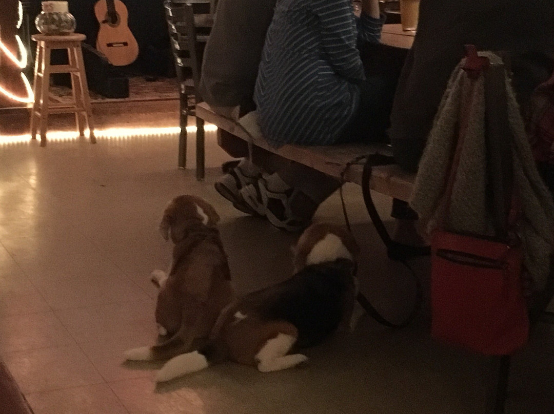 Lubec Brewing Company-Lubec必去景点