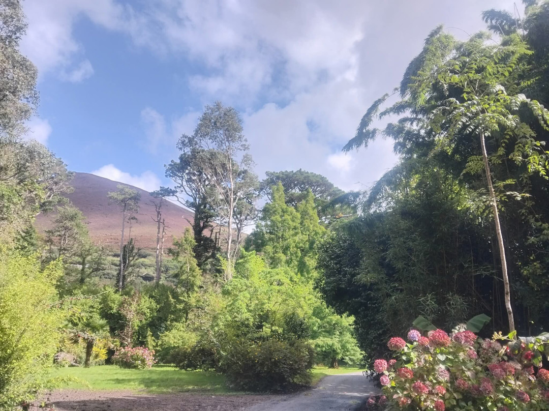 Kells Bay House & Gardens-Cahersiveen必去景点
