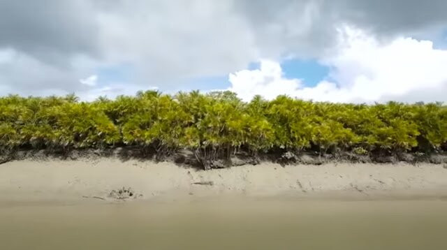 The Sundarbans-库尔纳县必去景点