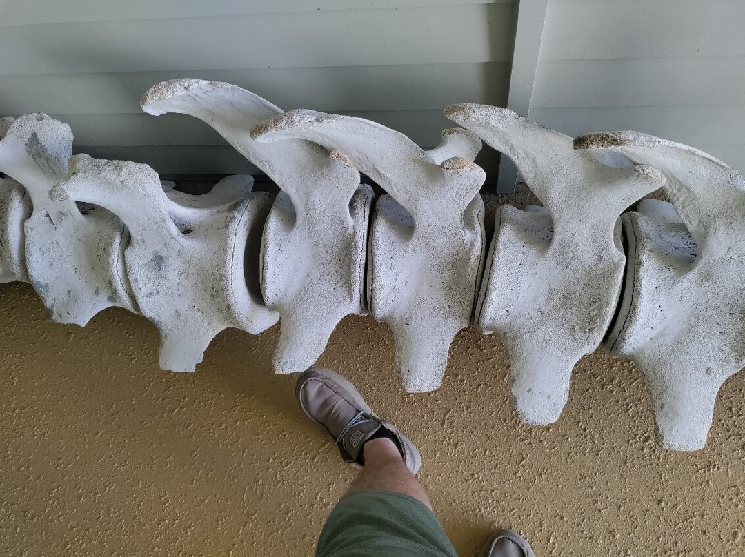 Apalachicola National Estuarine Research Reserve-Eastpoint必去景点