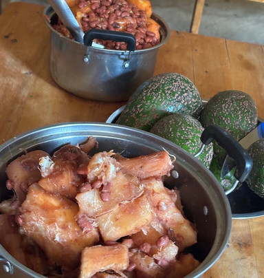 Azizi Life Experiences-Byimana必去景点