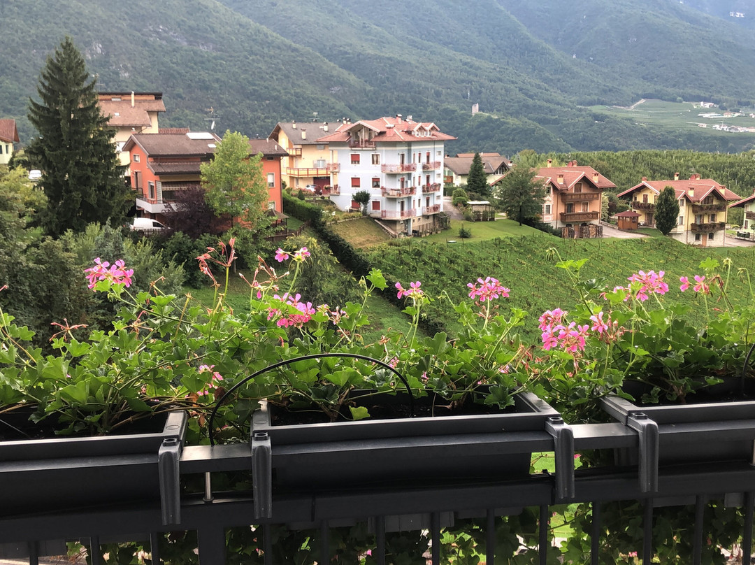 Hotel Alt Spaur主图