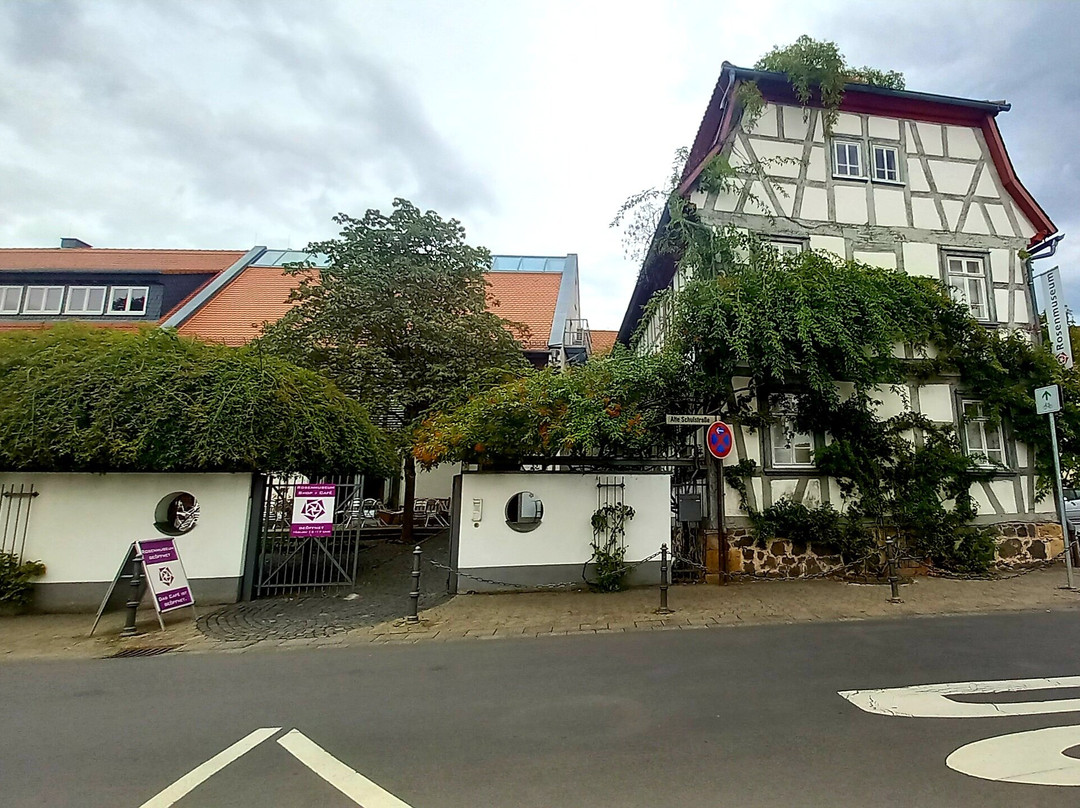 Rosenmuseum Steinfurth-Bad Nauheim必去景点