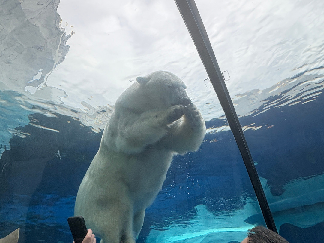 Detroit Zoo-罗亚尔奥克必去景点