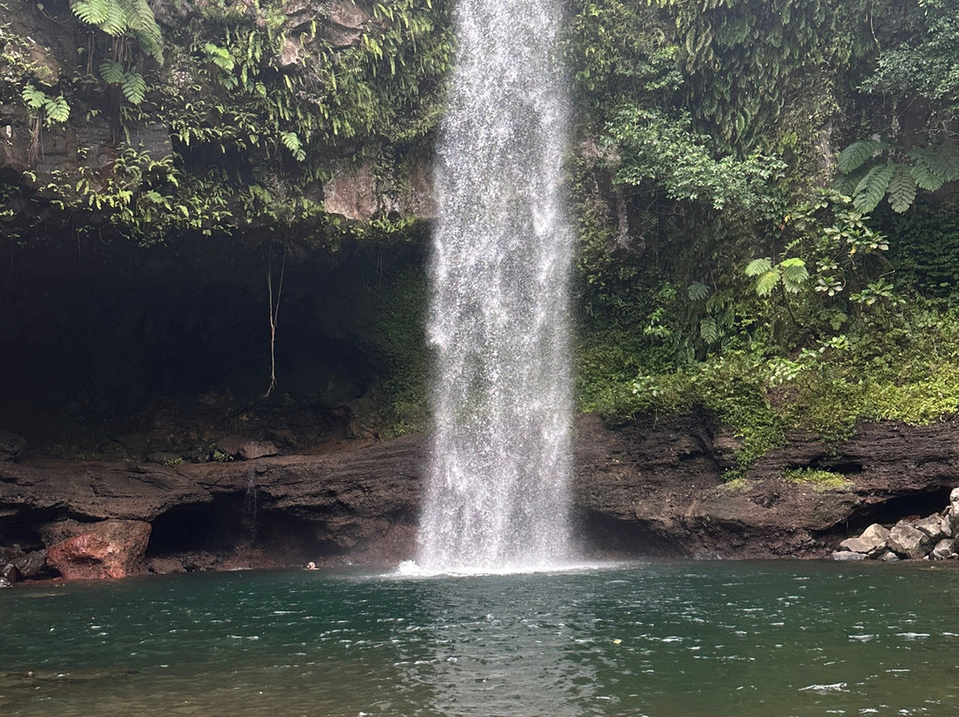 Reef Life Taveuni-马太必去景点