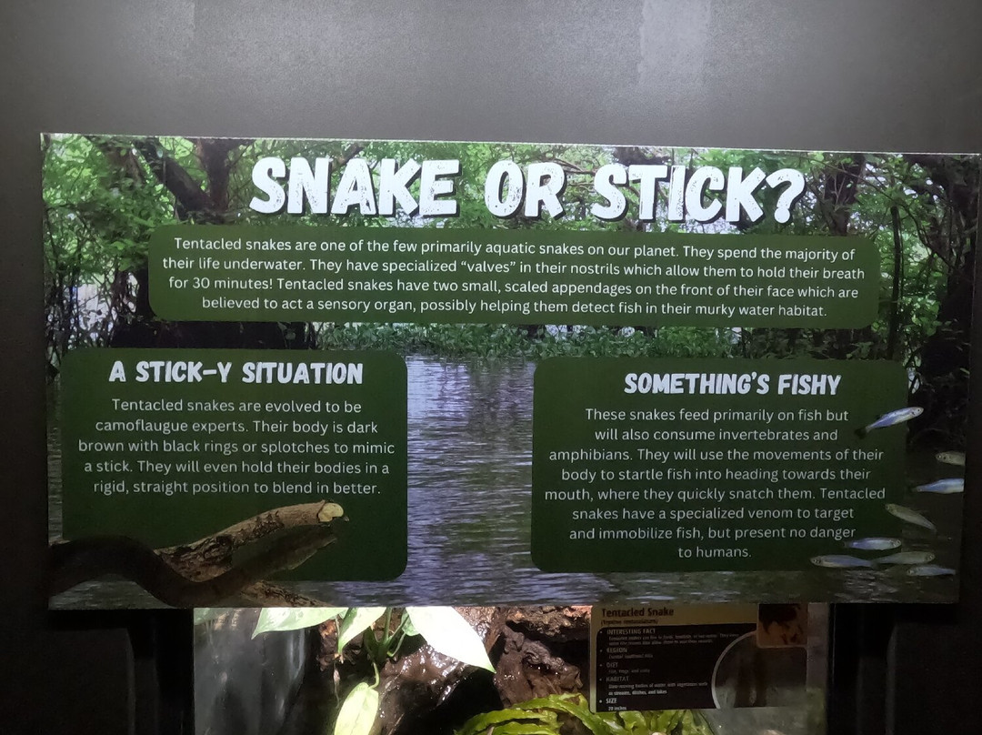 Electric City Aquarium & Reptile Den-斯克兰顿必去景点