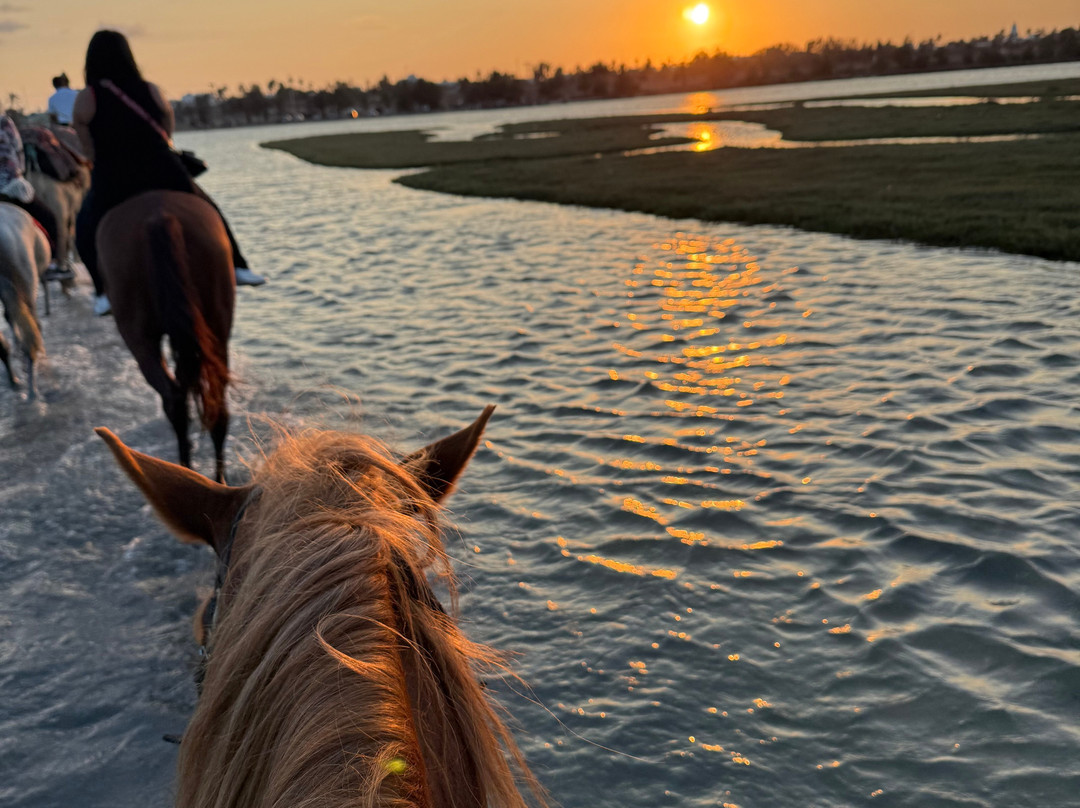 Nour Equestre Djerba-Djerba Midun必去景点