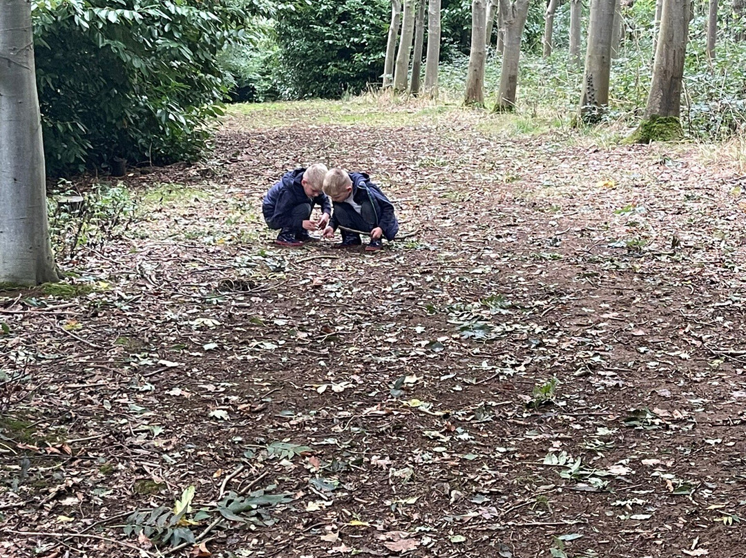 William's Den-Drewton必去景点