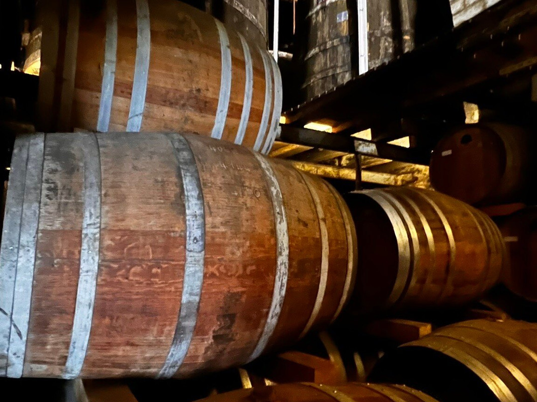 Le Domaine Du Chêne-Saint Palais de Phiolin必去景点