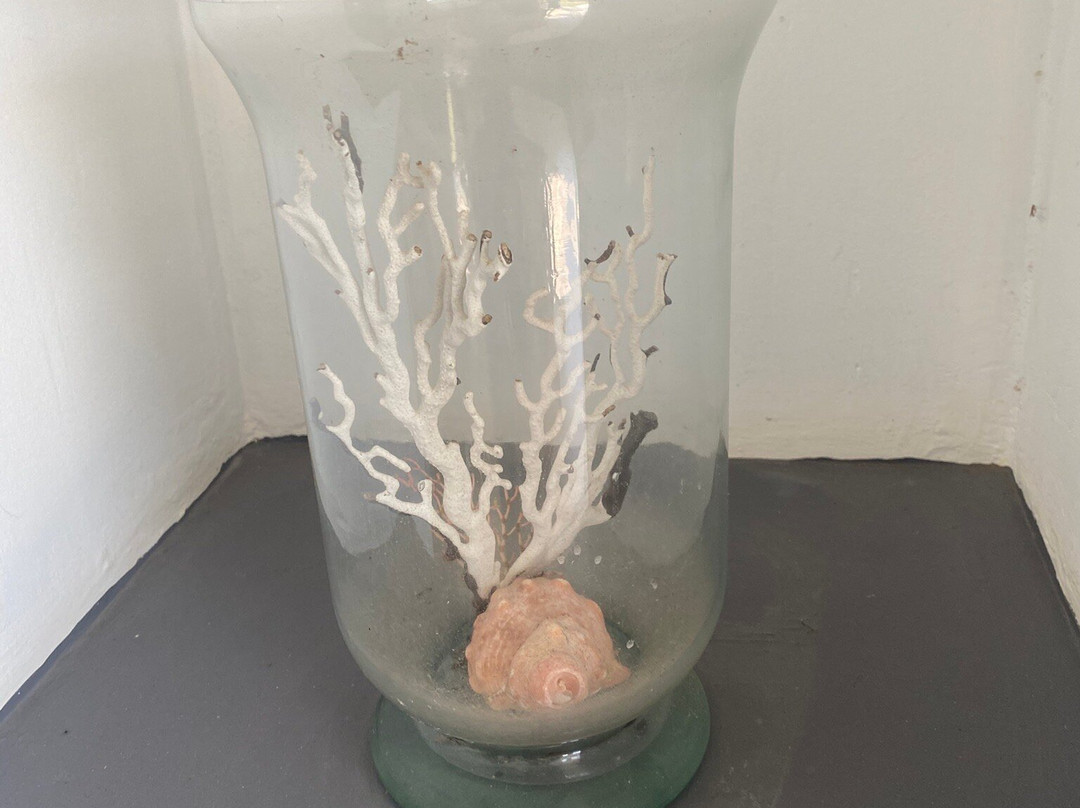 The Beach House主图