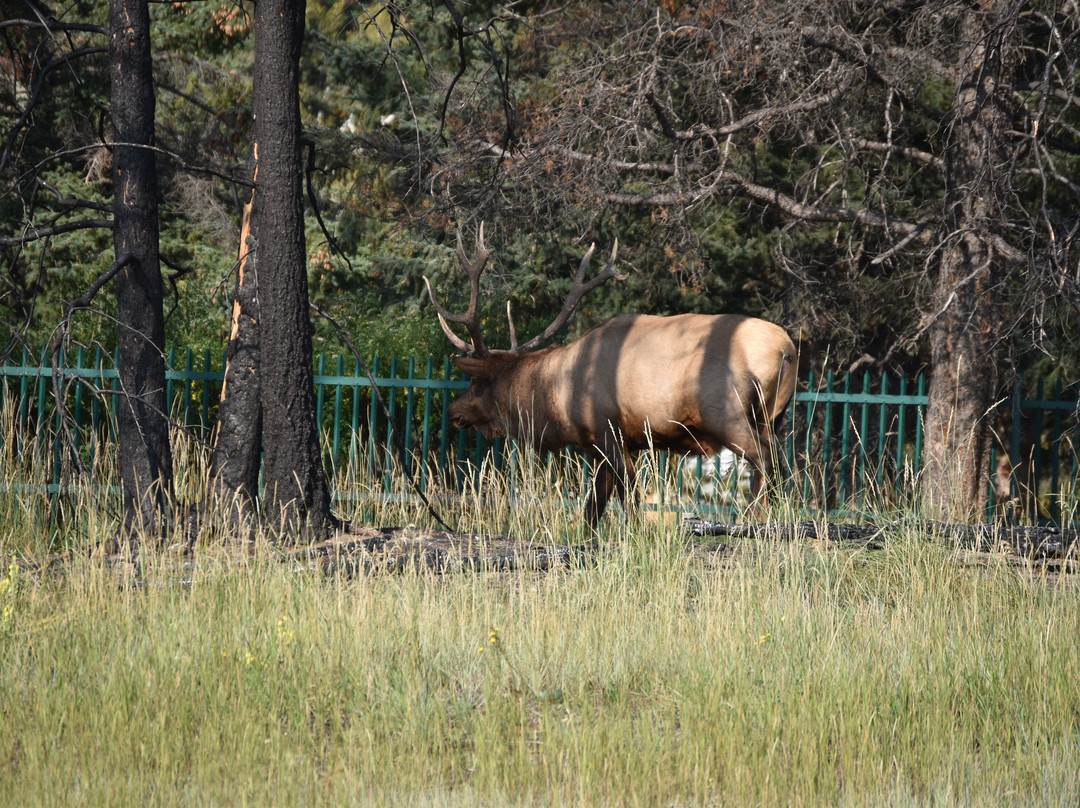 贾斯珀赤红酒店主图