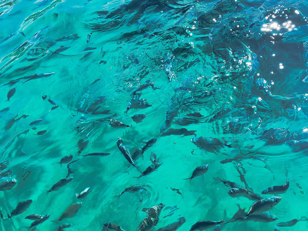 STAtropea-特罗佩阿必去景点