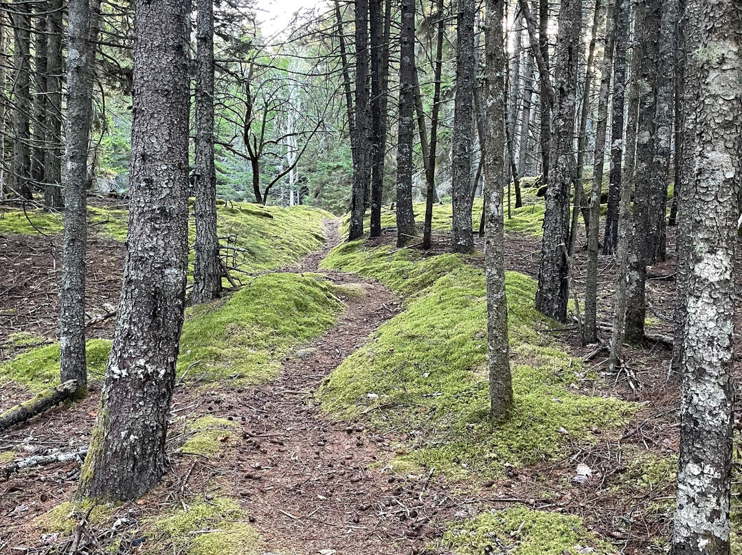 L.L.Bean Outdoor Discovery Programs-弗里波特必去景点