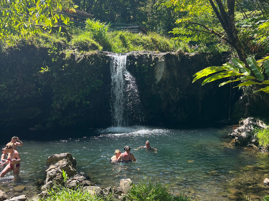 OUI TOUR MAUI-拉海纳必去景点