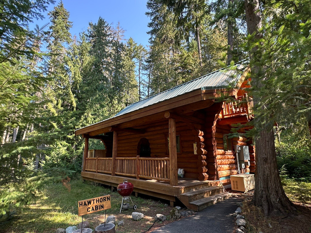 LOGE Alta Crystal主图