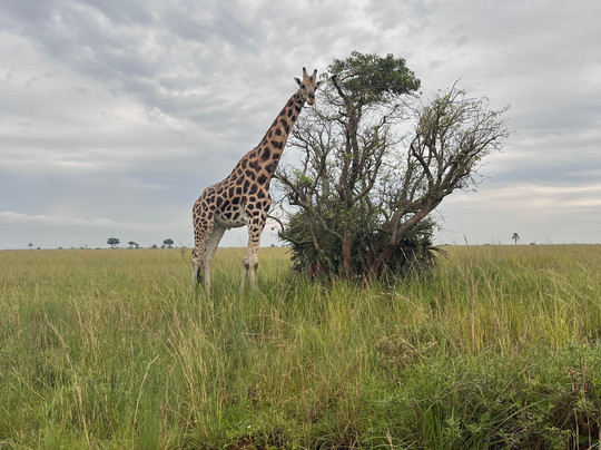 travel with twaha-坎帕拉必去景点