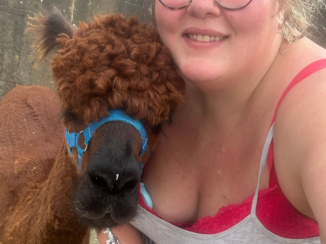 Portland Alpaca Trekking-Weston必去景点