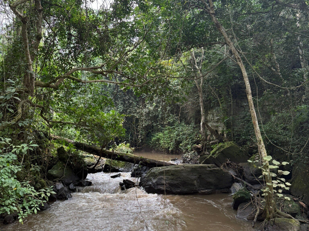 Kyambura Game Reserve (Kyambura Gorge)-伊丽莎白女王国家公园必去景点