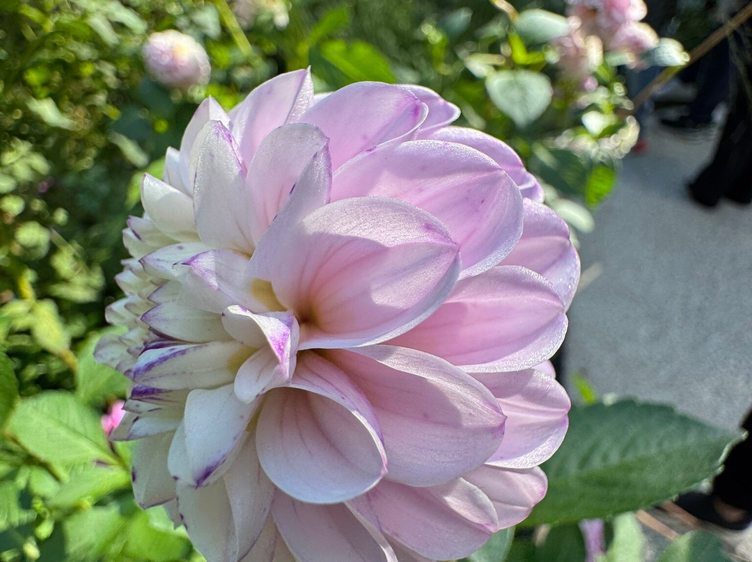 Jardin Des Fontaines Pétrifiantes-La Sone必去景点